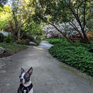 Meet your Posher, Ebony